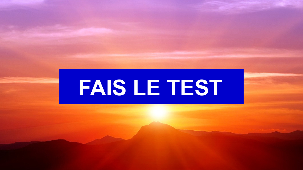 Quiz Tests de personnalit