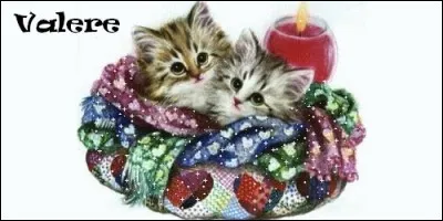 De quelle origine vient le prénom Valère ?