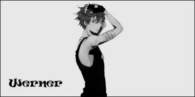 Quelle est la signification du prénom Werner, d'origine germanique ?