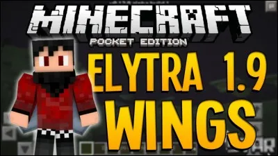 Comment crafte-t-on une élytre ?