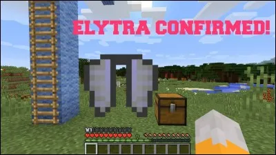 Comment se nomme l'armure nous permettant de voler (en français) ?