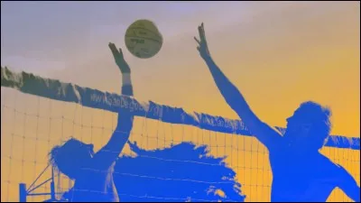 Volley-ball - Combien y a-t-il de pratiquants dans le monde entier ?