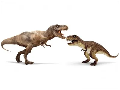 Comment s'appelle le T-Rex ?