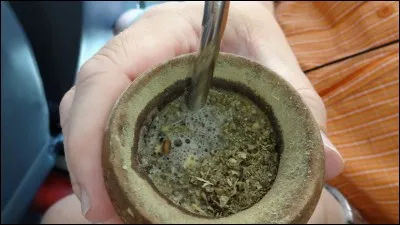 Quel est le nom de l´infusion traditionnelle que boivent la plupart des Argentins ?
