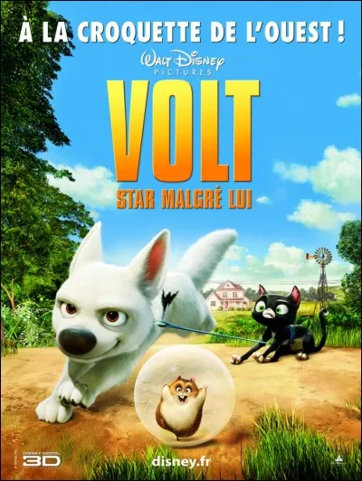 "Volt, star malgré lui" : comment s'appelle la chatte ?