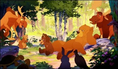 "Frère des ours" : comment s'appelle la personne qui va se métamorphoser en ours ?