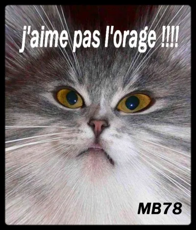 Qui ne manifeste pas la peur.