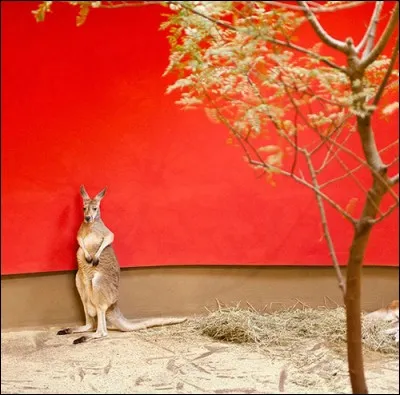 Quand on les a, c'est qu'on a peur.