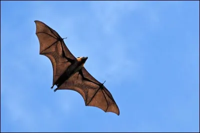 On a peur d'y avoir froid.