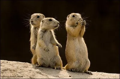 Un baron ne lui fait pas peur.