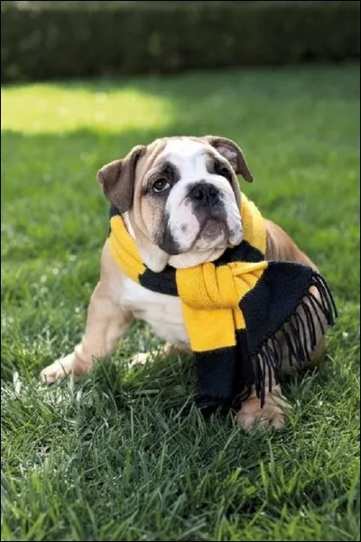 C'est par peur qu'elles se serrent.