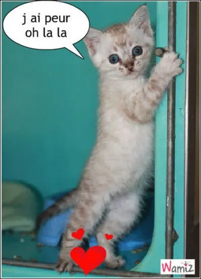 Sale air de la peur.