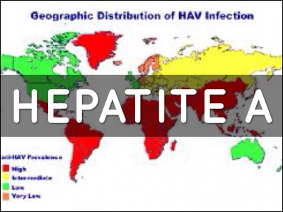 L'hépatite virale est une inflammation ...