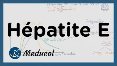L'hépatite A est une infection hépatique ...