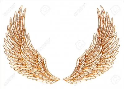 Lequel est le plus rapide ?