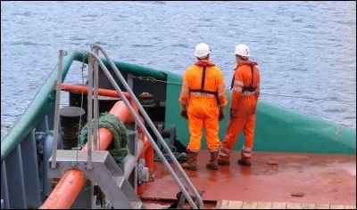 Qu'appelle-t-on une pomme de touline ?
