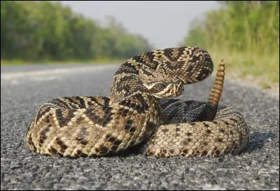 Sinuez vers le bon mot !