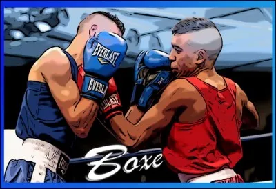 La boxe est un sport de combat au cours duquel deux adversaires s'affrontent à coups de poings, les mains gantées selon des règles précises. Combien de catégories professionnelles existe-t-il pour les femmes ?