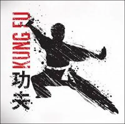 Le kung-fu est un sport de combat à mains nues, assez proche du karaté, mais faisant une place plus grande aux techniques de jambes. Sous quel autre nom peut-on également désigner le kung-fu ?