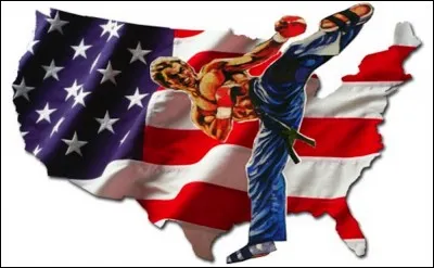 Le full-contact est un sport de combat américain où la mise hors de combat de l'adversaire est autorisée. A quel autre sport s'apparente-t-il ?