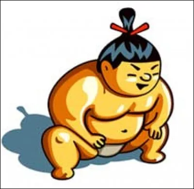 Le sumo est un sport de lutte japonais. Le combat sumo se caractérise par le gabarit des lutteurs ainsi que par les nombreux rites traditionnels qui entourent les combats. Comment s'appelle le cercle de combat que les sumos tracent au sol ?