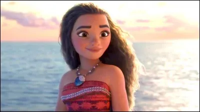 Qui est le personnage principal ?