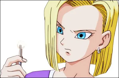 C'est une cyborg issue de Dragon Ball Z :