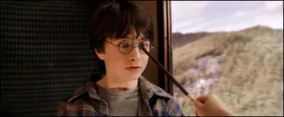 Quel sort Hermione jette-t-elle à Harry pour réparer ses lunettes ?