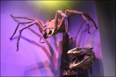 Quel est le monstre de la Chambre des Secrets ?