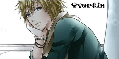 Le prénom Yvertin provient de :