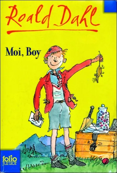 Dans "Moi, Boy", qui est le garçon ?