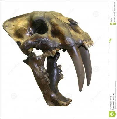 Rassurez-vous, il a disparu depuis longtemps, vous pouvez néanmoins le voir dans ce film, il est préférable de s'en faire un ami !