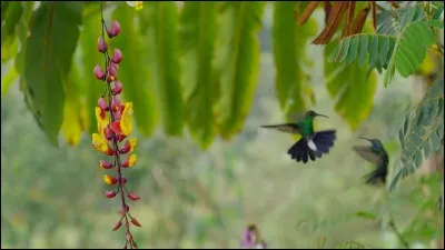 Vous sentez-vous proche de la nature ?