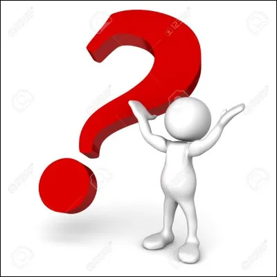 Qu'est-ce qui vous manque ?