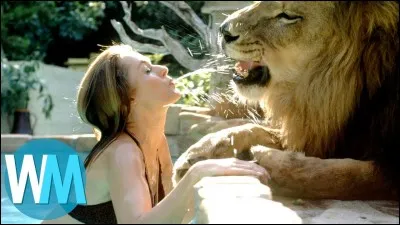 Aimes-tu les animaux ?