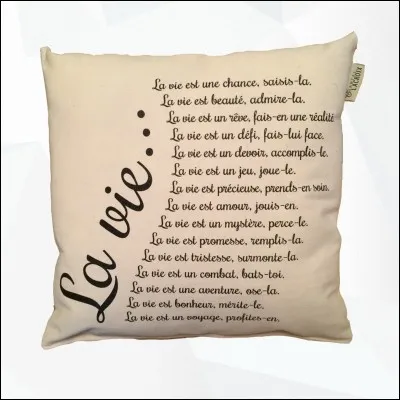 Pour toi, la vie est :