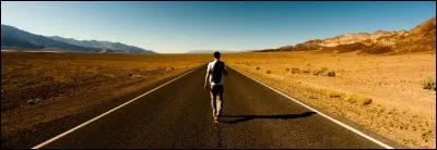 Qui nous attaque sur les routes tout au long de l'aventure sous le nom de "voyageurs" ?