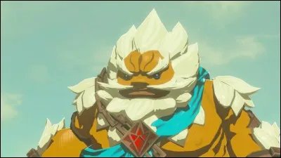 Qui est le/la prodige des Gorons ?