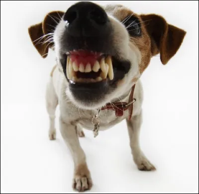 L'ostéopathie règle-t-elle des problèmes d'éducation ?