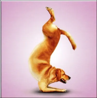 Pour qui pratique-t-on l'ostéopathie ?