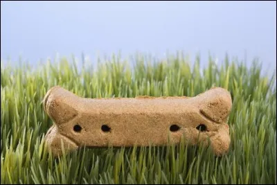 Où peut se pratiquer la séance d'ostéopathie ?