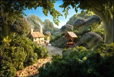 Récoltez vous-même de quoi faire une bonne salade de première fraîcheur avec la variété feuille de chêne rouge.