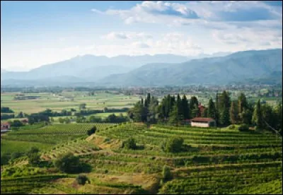 F comme Frioul. Dans quel pays d'Europe se trouve la région du Frioul ?