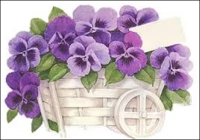 Partie de whist ou de bridge, jouée en deux ou trois manches, avant le changement de partenaire :