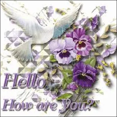 Protéine du maïs :