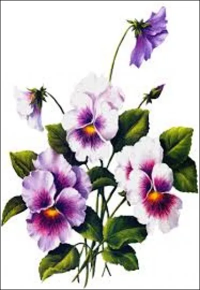 Blessant, méchant :