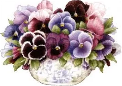 Salles pour les arts martiaux :