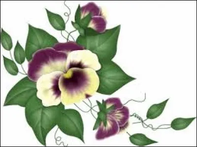 Somme ou objet misé au jeu et qui revient au gagnant :