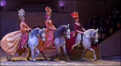 Qu'allez-vous crier pour faire tourner votre cheval à droite ? Tout simplement le mot obtenu en insérant une lettre dans "he".