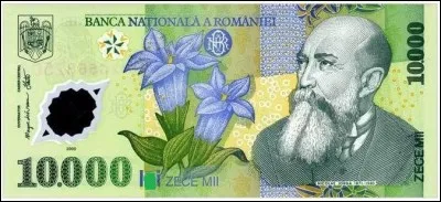 Pluriel de l'unité monétaire de la Roumanie ! Découvrez son nom en insérant une de ces deux lettres dans le mot "li". Laquelle ?